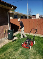 🌄 AWEN Lawn Care: Yard clean-up, gutter cleaning, trees & more