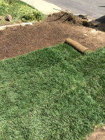 🌄 AWEN Lawn Care: Yard clean-up, gutter cleaning, trees & more
