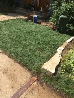 🌄 AWEN Lawn Care: Yard clean-up, gutter cleaning, trees & more