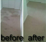 DANIEL CARPET CLEANING $59.95 (PORT SAINT LUCIE (treasure Coast))
