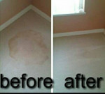 DANIEL CARPET CLEANING $59.95 (PORT SAINT LUCIE (treasure Coast))