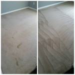 ~☆ DEEP CARPET CLEANING  ☆~, 3 rms $110