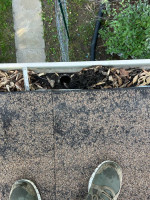 Comprehensive Gutters service. PRO GUTTER CARE -  Cleaning, Installation, Downsp