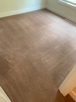 AFFORDABLE CARPET CLEANING / FREE HALLWAY- CALL/TEXT TO 919-780-8529