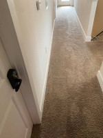 AFFORDABLE CARPET CLEANING / FREE HALLWAY- CALL/TEXT TO 919-780-8529