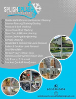 Splish Splash Clean & Clear (exteior cleaning/painting)(junk removal/small demo)