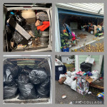 Splish Splash Clean & Clear (exteior cleaning/painting)(junk removal/small demo)
