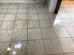 !!!$100.00 WHOLE HOUSE DEEP STEAM CARPET CLEANING !!! NO HIDDEN FEES