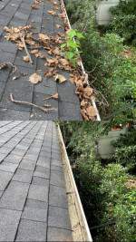 Lawn care gutter cleaning general yard and home labor