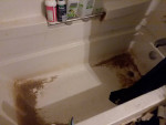 PRO-CLEAN HOME CLEANING complete home cleaning as low as $90