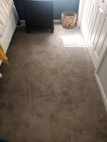 Carpet Cleaning Services/Upholstery Cleaning services