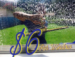 Window Cleaning ($6 per window) • Gutter Cleaning • Power Washing