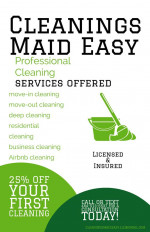 PROFESSIONAL CLEANING SERVICES