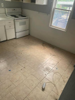 PROFESSIONAL CLEANING SERVICES