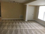 CARPET_CLEANING ✅ SAME_DAY_SERVICE