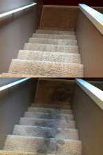 CARPET_CLEANING ✅ SAME_DAY_SERVICE