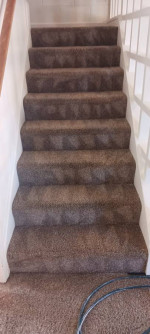 CARPET_CLEANING ✅ SAME_DAY_SERVICE