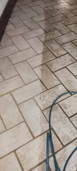 CARPET_CLEANING ✅ SAME_DAY_SERVICE