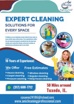 “ANI” Cleaning Professional LLC (Indianapolis, Carmel, Westfield, more