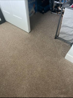 Carpett Cleaning $89