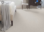 CARPET CLEANING. SPECIAL $34.99/room