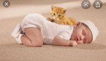 CARPET CLEANING. SPECIAL $34.99/room