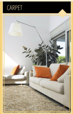 CARPET CLEANING. SPECIAL $34.99/room