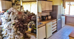 Carpet Cleaning, Home Cleaning, Junk Removal