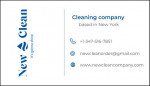 PROFESSIONAL CLEANING SERVICES