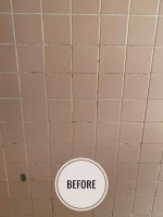 PROFESSIONAL CLEANING SERVICES
