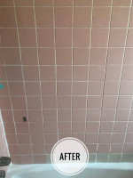 PROFESSIONAL CLEANING SERVICES