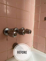 PROFESSIONAL CLEANING SERVICES