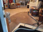 STEAMAWAY OF TAMPA BAY LLC. CARPET CLEANING