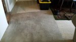 STEAMAWAY OF TAMPA BAY LLC. CARPET CLEANING