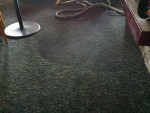 STEAMAWAY OF TAMPA BAY LLC. CARPET CLEANING
