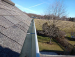 Gutter Cleaning Services