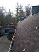 Gutter Cleaning Services