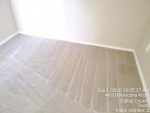 Carpet Cleaning 2 Rooms $60; Apartment $75 Flat Exp. Cleaner