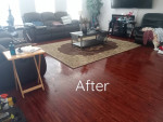 House cleaning. Inside/outside(junk/trash)**PICS**🌳🏠