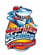 MOBILE HAND CAR WASH & PRESSURE CLEANING