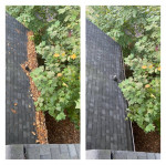 GUTTER CLEANING, PRESSURE WASHING,HOUSE SOFT WASH, ROOF SOFT WASH, HOME WINDOW C