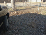 Hauling & Junk removal, Gutter cleaning services Tree trimming and tree removal