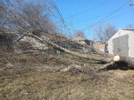 Hauling & Junk removal, Gutter cleaning services Tree trimming and tree removal