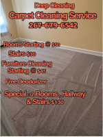 Up & Away Deep Clean Carpet & Upholstery Cleaning✨ 267-679-6542