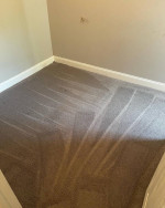 Up & Away Deep Clean Carpet & Upholstery Cleaning✨ 267-679-6542