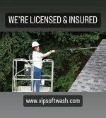 ROOF & HOUSE WASHING-WINDOW CLEANING-PRESSURE WASHING-PAVER REPAIR & SEALING