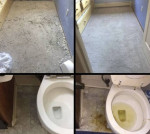 5 ⭐️ Cleaning Company