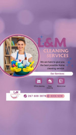 Cleaning Services