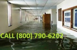 CARPET REMOVAL,HOARDER HOARING CLEANING SERVICE, SEWAGE BACKUP CLEAN