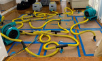 CARPET REMOVAL,HOARDER HOARING CLEANING SERVICE, SEWAGE BACKUP CLEAN